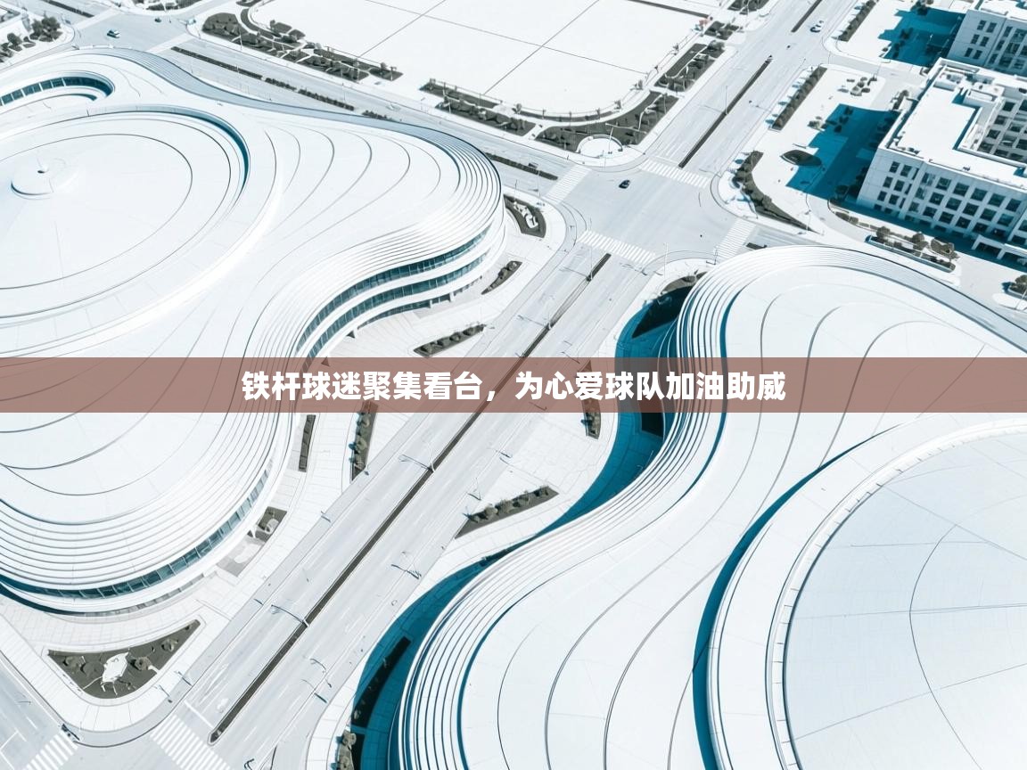 铁杆球迷聚集看台，为心爱球队加油助威  第1张