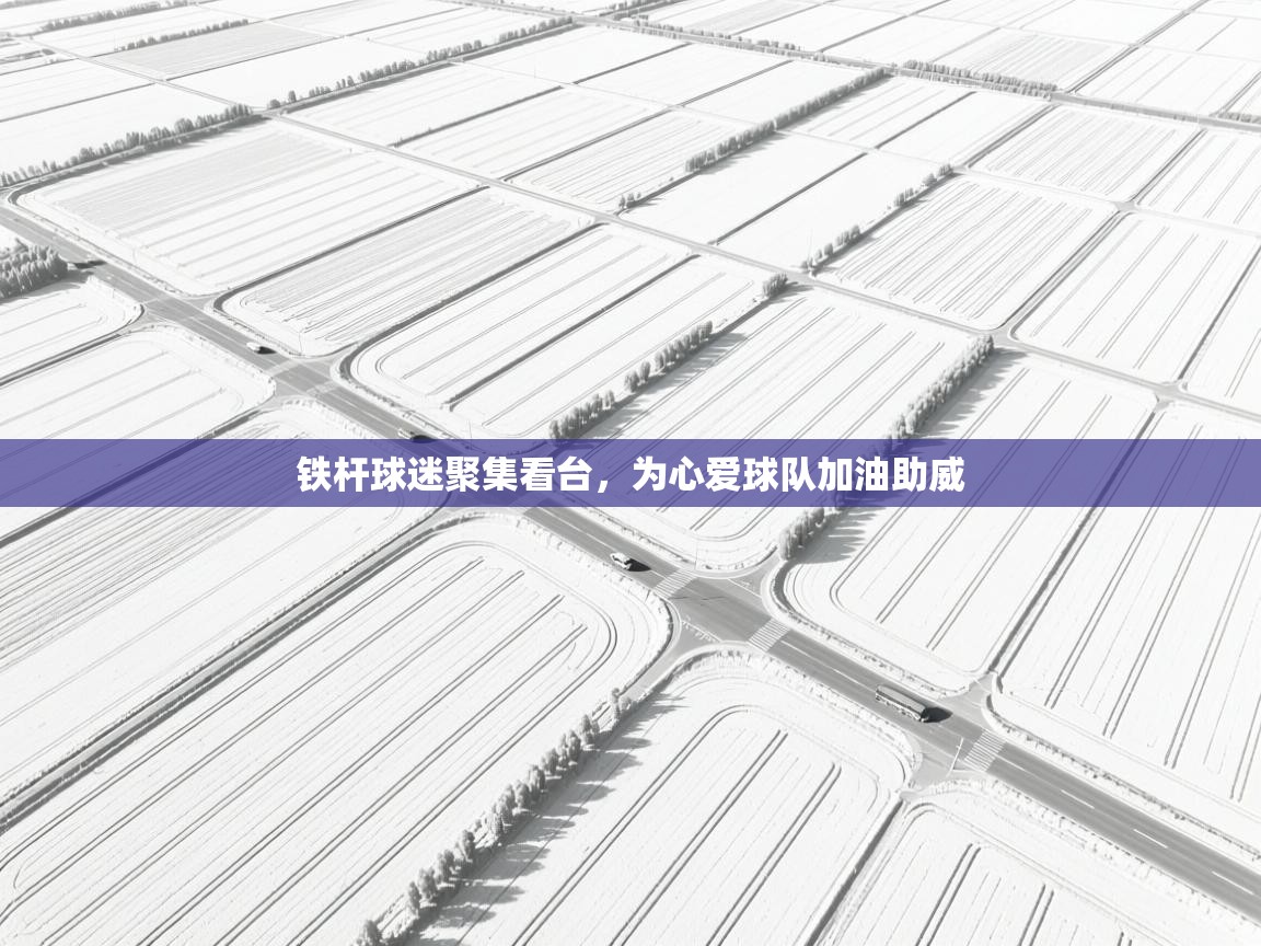 铁杆球迷聚集看台，为心爱球队加油助威  第2张