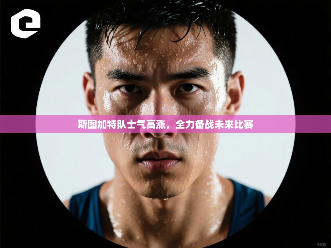 斯图加特队士气高涨,全力备战未来比赛 第2张