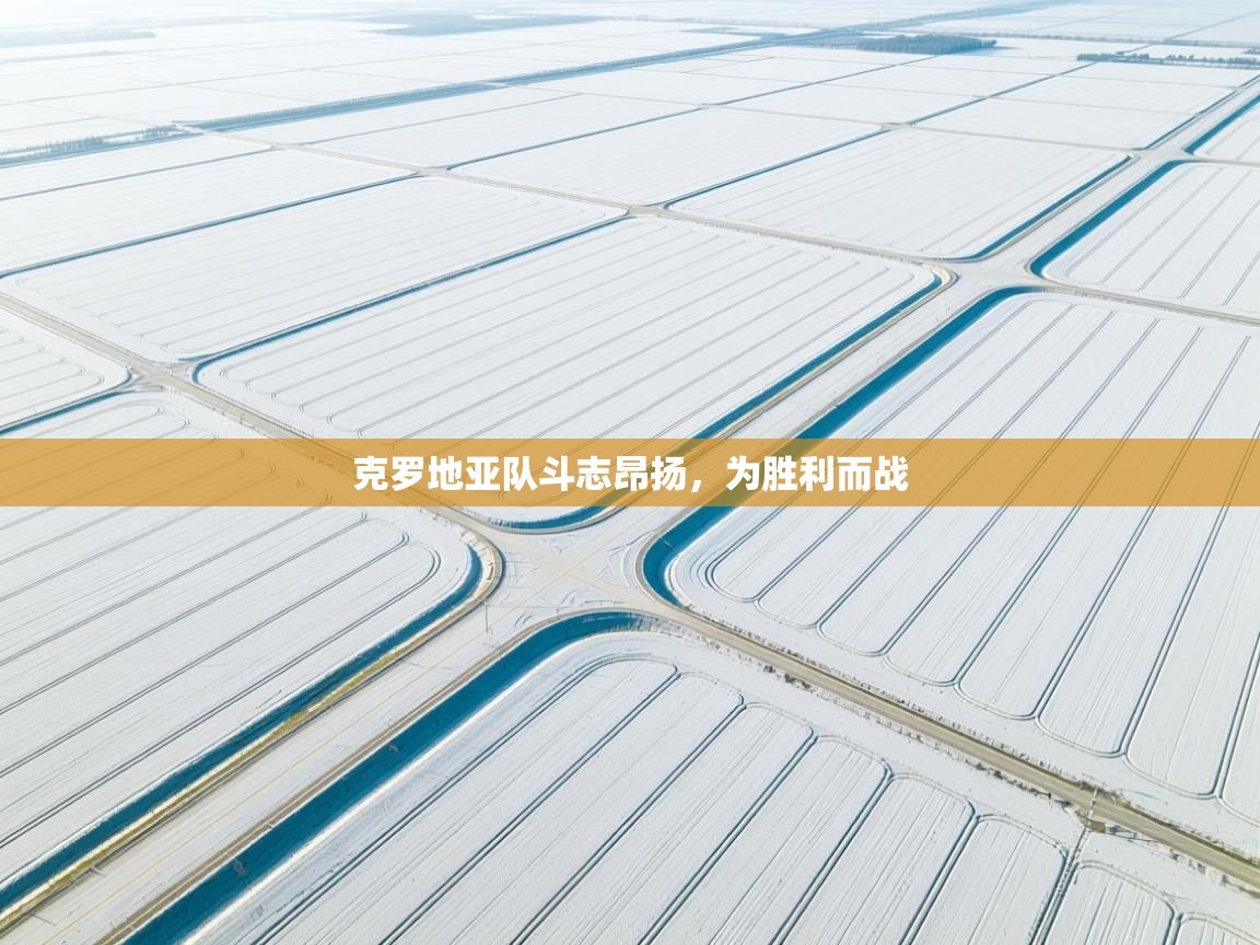 克罗地亚队斗志昂扬,为胜利而战 第1张