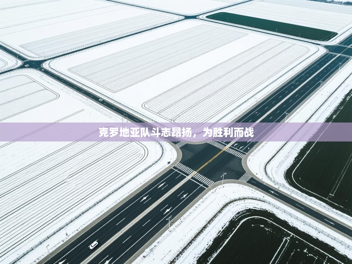 克罗地亚队斗志昂扬,为胜利而战 第2张