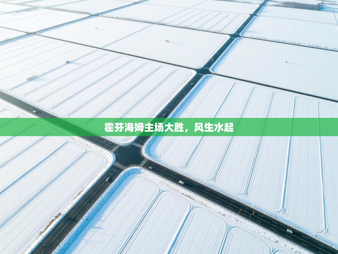 霍芬海姆主场大胜，风生水起  第1张