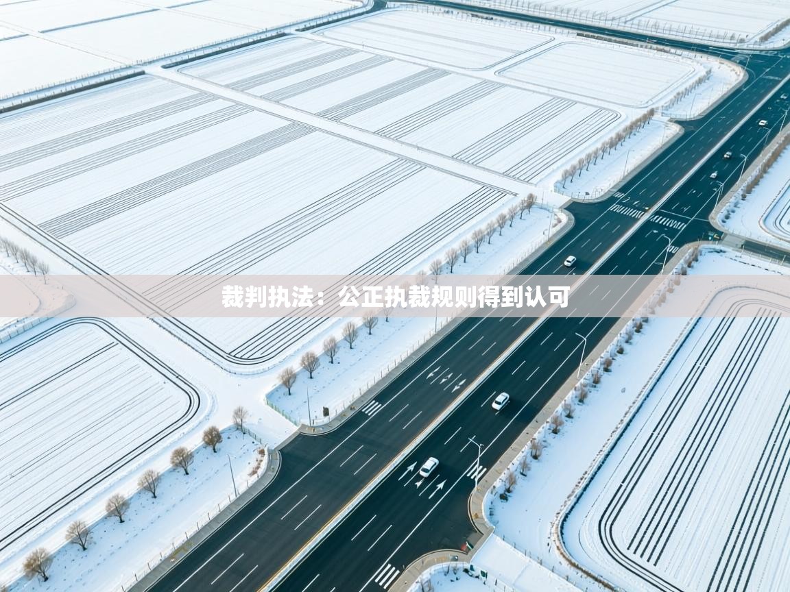 裁判执法：公正执裁规则得到认可  第1张