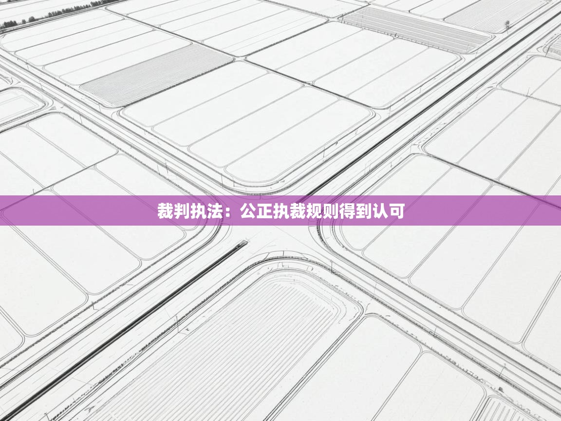 裁判执法：公正执裁规则得到认可  第2张