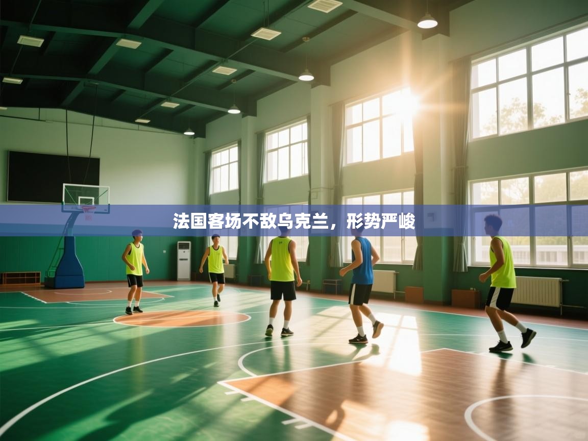 法国客场不敌乌克兰,形势严峻 第2张