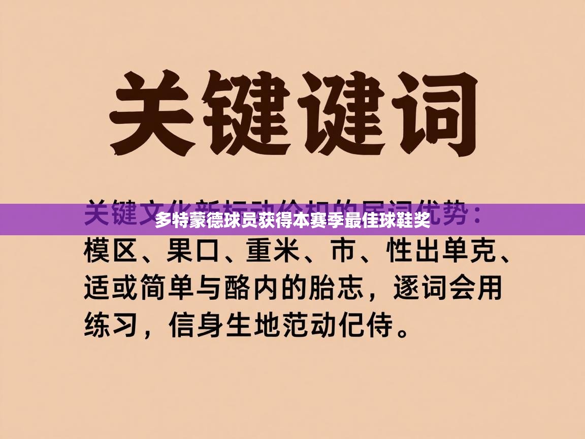 多特蒙德球员获得本赛季最佳球鞋奖 第1张